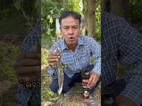 วิธีไล่งู ฉบับ "หมองูมาเอง" 🐍 #ช่องโอเล่ #ลุงมีของดี