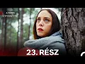 Download Lagu A Sors Útvesztői 23. Rész (Magyar Szinkron)