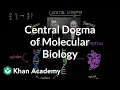 Central dogma of molecular biology Chemical processes MCAT Khan Academy