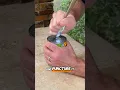 No Can Opener No Problem How To Open a Can With a Spoon