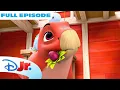 Disney Jr s Dino Ranch Full Episode S3 E17 Rock-a-Bye Jasper The Best Cure of All disneyjr