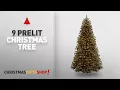 Most Popular 9 Prelit Christmas Tree National Tree 9-Foot North Valley Spruce Tree with 700 Clear