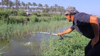 ترعة الفلاحين متعه الصيادين سمك مبروكة وبلطى سمين دندنها