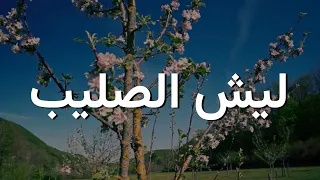 ليش الصليب ترنيمة بالكلمات Why The Cross Lyric Video 