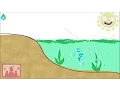 Eutrophication explained - WELS Waterpedia Environmental Learning Series