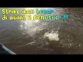 Download Lagu STRIKE IKAN BESAR DIAWAL \u0026 PENUTUP TRIP MANCING HARI INI !!!