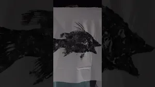 Make a fish print with us🎣🎨