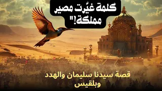 الهدهد الذي قلب مملكة أسرار قصة سليمان وملكة سبأ التي لم ت رو 