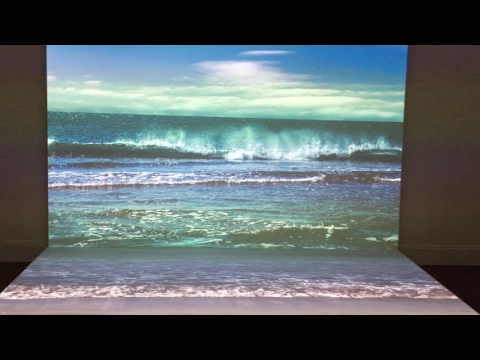 Bord de mer. Agnes Varda. 2009. Blum&Poe