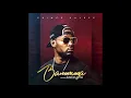Lagu Prince Kaybee feat Busiswa \u0026 TNS - Banomoya (Official Audio)
