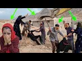 Download Lagu 😨😱Ali's father claimed that this was his house and kicked out the worker, and Sohrab and Ali fought
