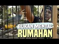Download Lagu Tips Melatih Mental Burung Prenjak Agar Tidak Mental Rumahan