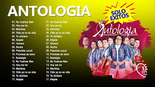 Mix Antologia 2024 – Grandes Exitos De Antologia – Mix Msucia Latinoamericana – Antologia Album