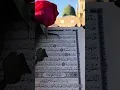 Download Lagu Assalatu wassalamu alaika ya Rasool Allah 💚🤲#beautiful #naat #islamic#shorts #love #whatsappstatus ✨