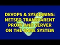 DevOps SysAdmins netsed transparent proxy and server on the same system