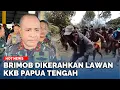 Kapolda Papua Tengah Kerahkan Batalyon Brimob, Kekuatan Maksimal Lawan KKB di Wilayah Rawan Konfli