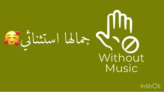 جمالها استثنائي   حماقي   بدون موسيقى   بدون ذنب   دندنها