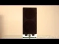 Download Lagu SA aura 1 - StassenHifi