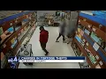 Charges pending in West Allis tortoise theft