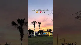 اى حاجه تيجى على بالك   مسلم                               دندنها