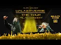 Download Lagu Alan Walker Walkerverse Tour full concert multi-camera 4K