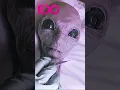 Download Lagu KGB Leaked UFO Footage The Top Secret Alien Encounter Exposed!