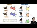 MCAT Biochemistry Nitrogenous Bases