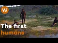 How did Humankind Emerge? On the Trail of the First Human at Kromdraai in Africa (Full Documentary)