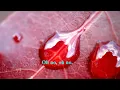 Electric Light Orchestra (E.L.O.) - Strange Magic [w/lyrics]