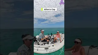 Island Hopping Adventure: Beach Bliss & Iguana Encounters Await!