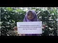 Download Lagu Umam - Ayah \u0026 Ibu (Nasyid Menyentuh Hati)