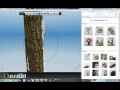 3D Scans - Tree Bark