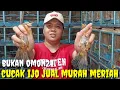 Download Lagu HARGA SPESIAL ! LAGII2 KIOS INI BIKIN GEGER, BURUNG JADI JUAL MURAH MULUS NO MINUS