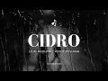 Download Lagu Cidro - Lilin Herlina | Wiwit Yuliana