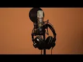 Post Malone - Feeling Whitney vocals backing track