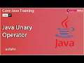 Unary Operators in Java - From Beginner to Advanced Master Course