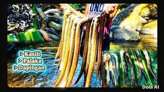 Part 2:  Kasili at Palos: Sagana sa Ilog ng Kagubatan!