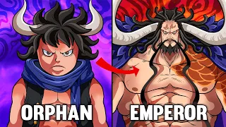 The Story of Kaido One Piece