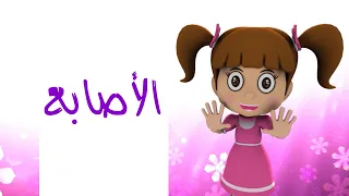 الأصابع طيور بيبي Toyor Baby  الأصابع طيور بيبي Toyor Baby