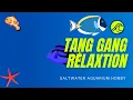 Download Lagu Tang Gang Relaxation