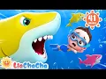 Download Lagu Baby Shark Children’s Song | Rhymes Eleven | Joyful Rhyme for Toddlers