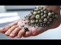 Download Lagu Visual ASMR Therapy: Cleaning Infected Face Infestation | Worm Removal \u0026 Sound Triggers Animation
