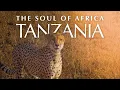 Download Lagu Tanzania - Kilimanjaro, Serengeti, Zanzibar - The Soul of Africa