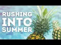 [No Copyright Background Music] Rushing Into Summer by BlueWhaleMusic