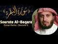Download Lagu Surah Al-Baqara Full – Soothing Recitation | Sheikh Saad Al-Ghamdi