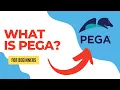What is Pega A Beginner s Guide to Pega and Low-Code Development
