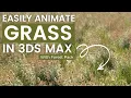 Easy Grass Animation in 3ds Max with Forest Pack