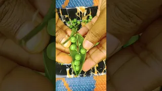 Green Peas Youtube Video Shorts Tasty Dish 