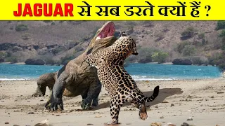 jaguar why jaguar attack is so dangerous 