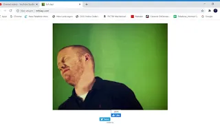 Eel slap